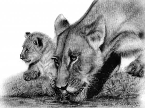 絵画 LIONSAN Lioness With Her Cub by Danguole Serstinskaja Wall Art